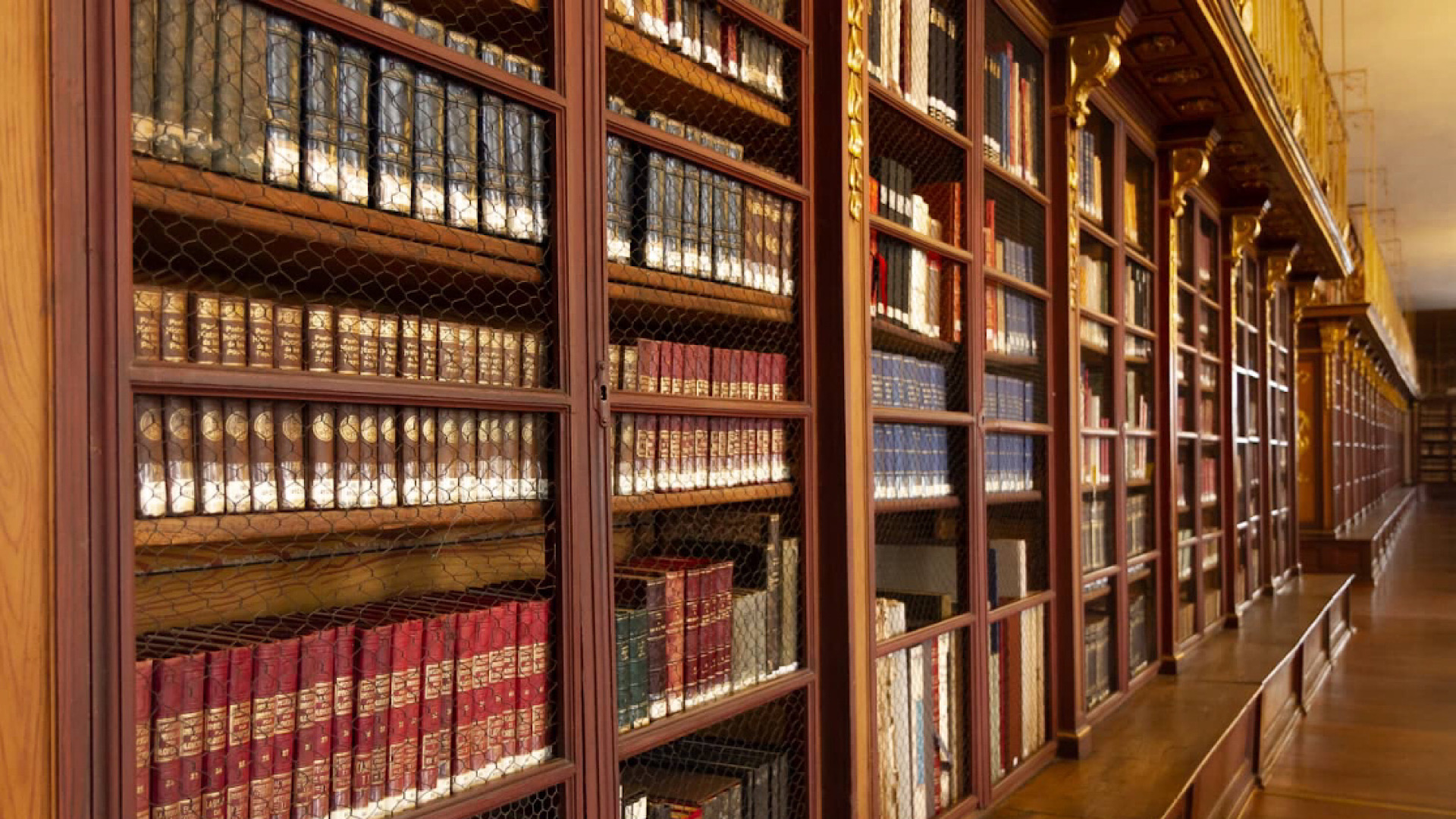 D8C183D5-131B-46A2-B08C-231A99549CB4